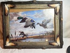 Beautifully Framed Reprint Of Mallard Duck. Decorative Frame Wooden Feathers picture