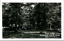 RPPC Picnic Tables Babcock State Park Clifftop West Virginia WV UNP Postcard C12 picture