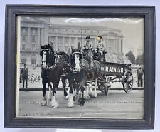 Vintage Framed 1940's Photograph Ranier Beer Cart Clydesdale Horses picture