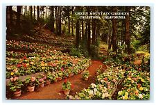 Green Mountain Gardens Calistoga California CA Chrome Postcard 1962 Napa County picture