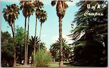 Tucson Arizona AZ, University of Arizona, Campus, Palm Trees, Vintage Postcard picture