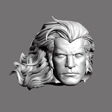 Lion-O Thundercats leader custom head for action figures picture