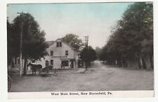 Mansion House West Main Street New Bloomfield PA 1912 picture