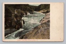 Postcard Portage Lower Falls Along the Erie Railroad New York UDB picture