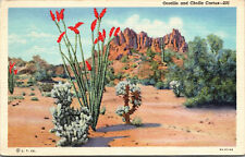 Vtg 1930s Ocotillo Cholla Cactus Jumping Coach Whip Cactus Desert Scene Postcard picture