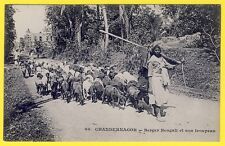 cpa INDIA CHANDERNAGOR SHEPHERD BENGALI and his HERD Sheep Maritime Messaging picture
