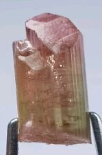 7.5 ct Natural Terminated Bi Color TOURMALINE Crystal From Afghanistan  picture