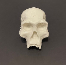 Dmanisi hominin Homo Georgicus/Homo Erectus 1:1 model skull picture