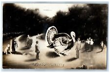c1910's Exaggerated Turkey Martin RPPC Photo Thanksgiving Antique Postcard picture