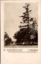 Postcard Bucks County, PA Views-The Tall Pine at Warrington, Doylestown  UDB  U3 picture