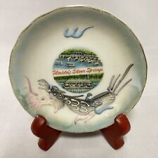 Florida's Silver Springs Souvenir Trinket Dish Moriage Dragonware Lusterware Old picture