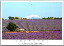 Postcard: Lavender Fields of Provence, Champs de Lavande A223 picture