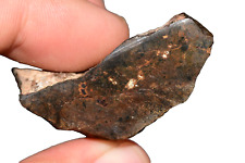 Meteorite Ungrouped Achondrite NWA 13272 poikilitic Endcut 35g picture