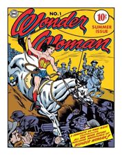 New Tin Signs Wonder Woman #1 Cover 2086 picture