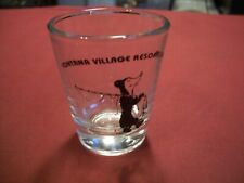 Shot Glass From Fontana Village Resort, N.C. picture