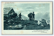 Italy Postcard Our Frontiers In Dark Storms Buck Carrying Items c1910 Antique picture