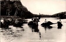 Elephants Fording a River Ceylon Old Postcard POSTED UNPOSTED Vintage RPPC picture