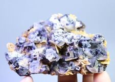 Natural Clear Purple Cube Fluorite & Pyrrhotite Crysal Cluster Mineral Specimen picture