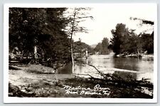 Bandera Texas~Tree w/Large Roots At Edge of the Medina River 1940s RPPC Postcard picture