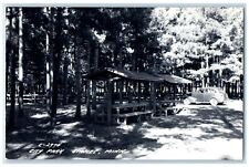c1940's City Park Trees And Car Scene Staples Minnesota MN RPPC Photo Postcard picture