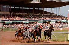 Postcard NY Canandaigua, New York;  Finger Lakes Racetrack, Trotters Bf picture