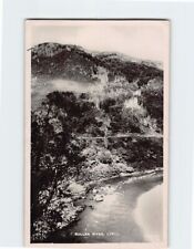 Postcard Buller River Lyell New Zealand USA picture