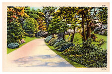 Asheville, NC Scenic Drive Flowers Wooded Area 12752 L-52 -A63 picture