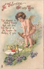 Postcard Valentine Cupid Raphael Tuck Series 221 Butterflies  picture