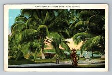 Miami FL-Florida, Along North Bay Shore Drive, Vintage Postcard picture