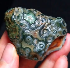 Rare 39G Natural China Inner Mongolia Gobi Agate Eye Agate Stone Crystal  BB94 picture