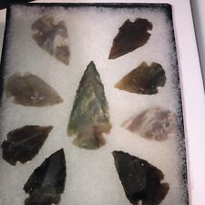 1x Native American Arrowhead  Points Set Of  9Glass Case Spearheaded Teacher Dis picture