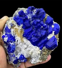 655 gram Complex growth Deep Blue Lazurite cluster with Pyrite from Afghanistan picture