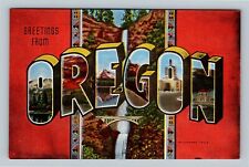 OREGON LARGE LETTER GREETINGS Mt Hood Lost Lake State Capitol Vintage Postcard picture