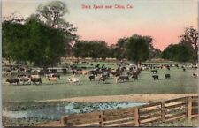 c1910s CHICO, California Postcard 