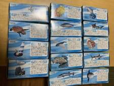 Glico Kaiyodo AQUATALES Collection Kuroshio Fish Figure All 13 Types   Diver picture