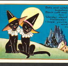 Black Cat Witch 