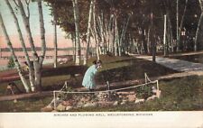 NW Harbor Springs Wequetonsing MI 1905 BAY FRONT PARK and THIRSTY PRETTY GIRL picture