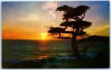 Postcard - Sunset Scene - Ocean and Tree picture