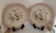 2 Newcor Stoneware Plates STRAWBERRY PATCH 1986 Dinner Plates 10 inch #5001 picture