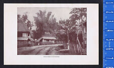 Native Houses in the Philippines c1900 - Historical Print 1910 picture