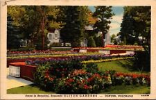 Denver Colorado Elitch Gardens Linen Postcard picture