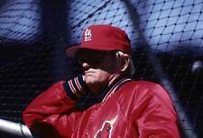 Manager Whitey Herzog Of The St Louis Cardinals 1980s Old Baseball Photo picture