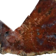 PETRIFIED PALM ROOT SLAB~ 69 grams / rough agate cab mineral rock picture