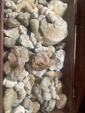 Fossil & Crystal Mix - 20 pieces picture