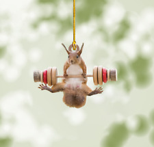 Funny Squirrel Liftmas Gym Christmas Ornament, Lifting Christmas Ornament Decor picture