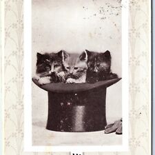 c1910s Adorable Kittens in Top Hat Best Wishes Postcard Cute Cats Calico A115 picture