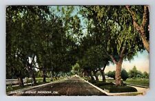 Pasadena CA-California, Marengo Avenue, Antique, Vintage c1910 Postcard picture