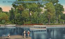 Postcard FL Silver Springs Florida Tropical Park Swimmers Linen Vintage PC H5290 picture