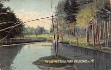 Brunswick ME Maine Merrymeeting Park c1908 Downtown Pond Fall Vtg Postcard R9 picture