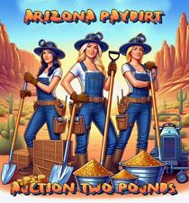 Auction Arizona Paydirt Two Pounds picture